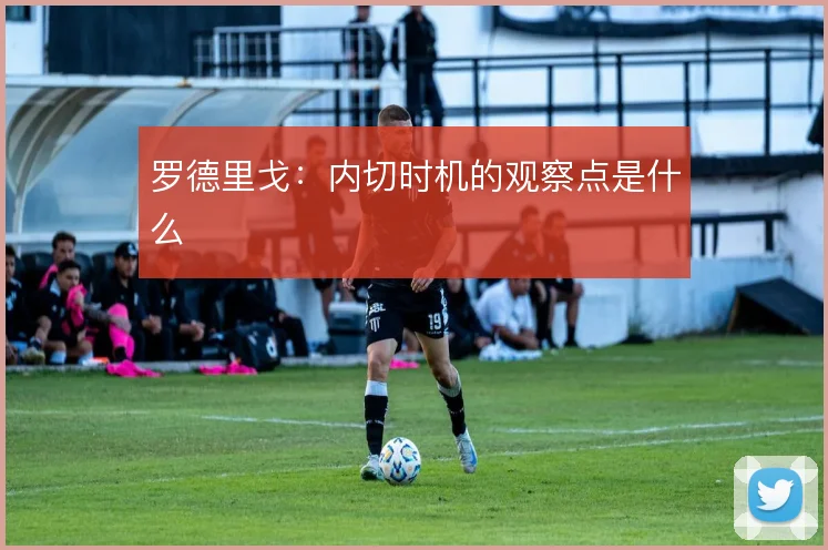 罗德里戈：内切时机的观察点是什么