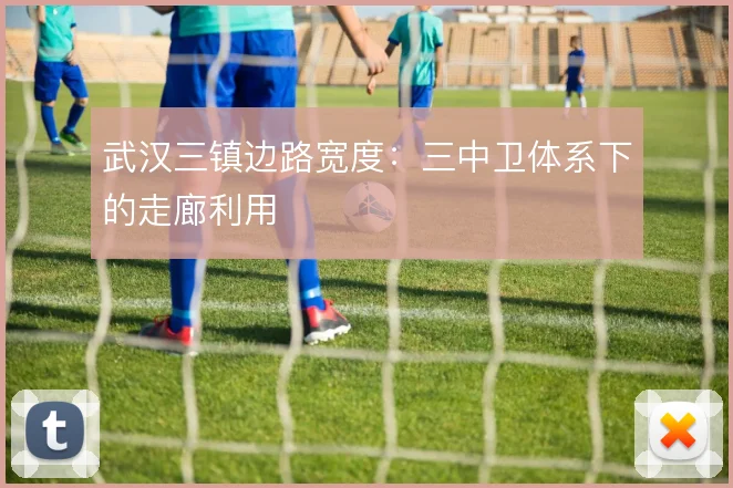 武汉三镇边路宽度：三中卫体系下的走廊利用